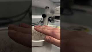 She Trapped Every Mosquito in Her Office and Got Revenge 😂🦟