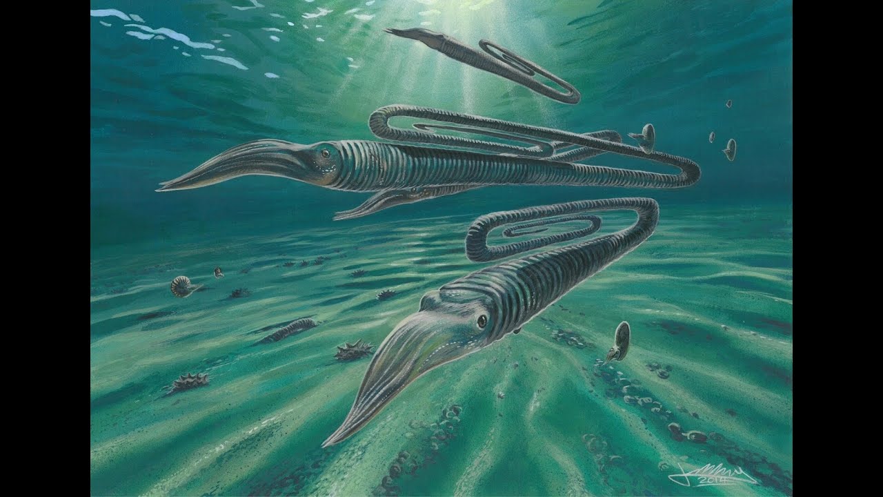 TRIBUTE TO PREHISTORIC NAUTILOIDS. (And Ammonoidea)