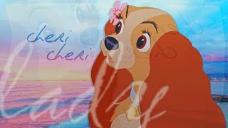 Rhs Cheri Cheri Lady Mep