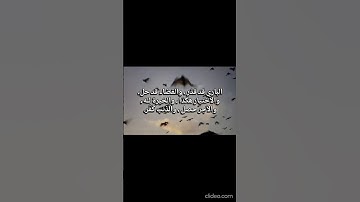 #سورة_فصلت #قرآن #محمد_صديق_المنشاوي #المنشاوي_الباكي #المنشاوي_الصوت_الباكى #قران_بصوت_جميل