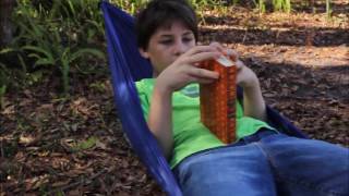 Module 3 Hammock Activity