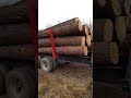 PJ gooseneck log trailer