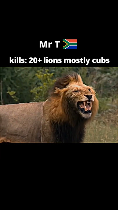 5 Most feared lions in the history #shorts #viral #youtube #video