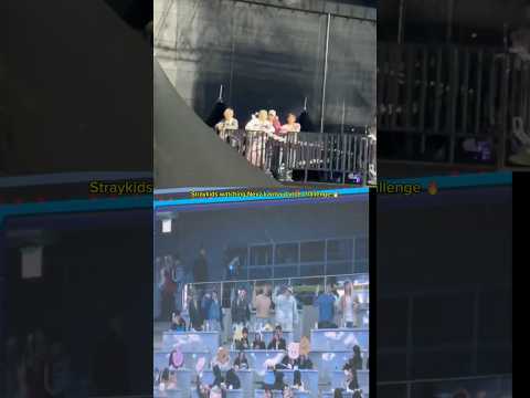 Straykids Watching Nexz Karma Dance Challenge Straykids Nexz Straykidsconcert Kpop