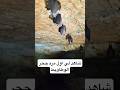 جحر الوطاويط شاهد هذه المناظر الطبيعية المذهلة   اكسبلور