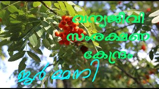 @bineesh0019 TEARGARTEN DESSAU, GERMANY