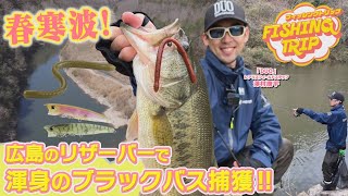 【フィッシングトリップ】春寒波到来！広島のリザーバーで渾身のブラックバス捕獲‼