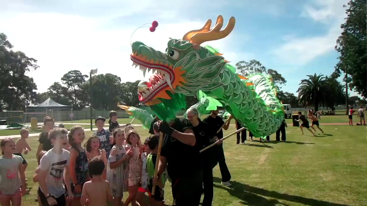 Pied Piper Dragon at Marong Cup Races - Bendigo