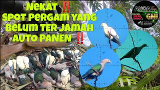 RECKLESS ‼️ HUNTING IN AN UNTIL JUMBO SPOT. ANOA Slug / FX Impack M3 / Dheemit Freedom