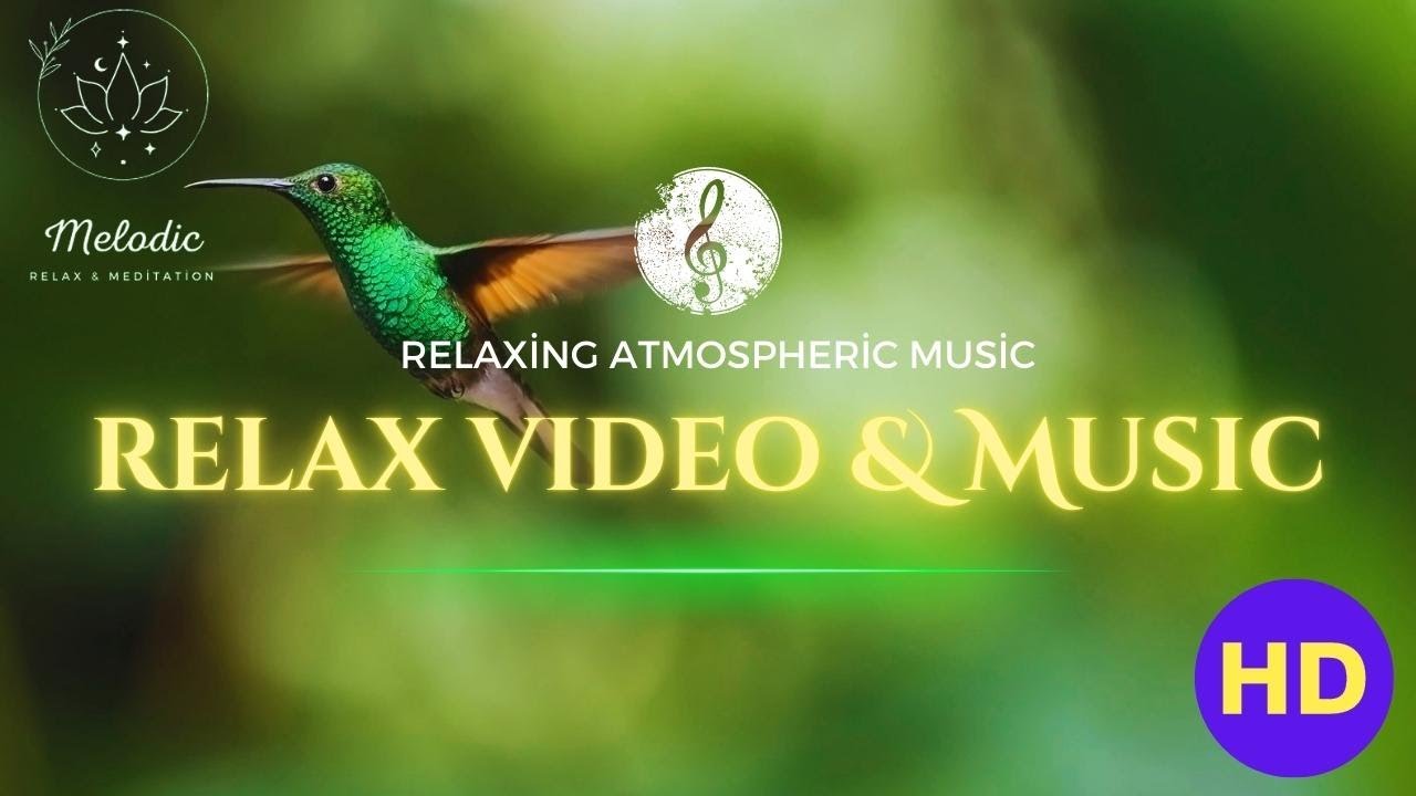 Relax Animals Video and Relaxing Atmospheric Music 4K - Best Relaxing Music For Better Sleep