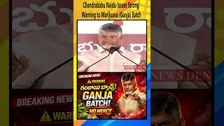 Chandrababu Naidu has issued a stern warning to those involved in marijuana cultivation||NEWS DEN