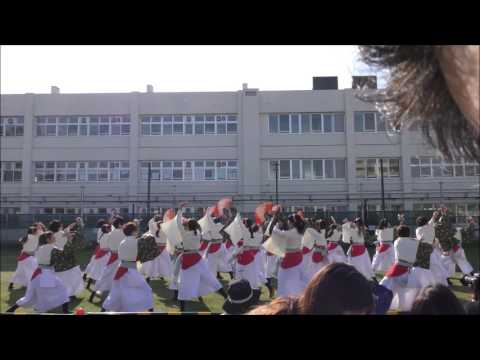 【公式】東海大学 響 『言ノ始紡ギ』2016’町田夢舞生ッスイ祭 シバヒロ会場