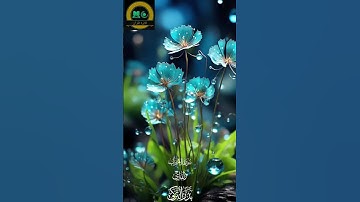 مِنَ المُؤمِنينَ رِجالٌ صَدَقوا ما عاهَدُوا اللَّهَ عَلَيهِ [الأحزاب:٢٣]#تلاوة_القرآن_الكريم#duet