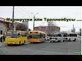 Маршрутки или Троллейбусы?  Что лучше для города?