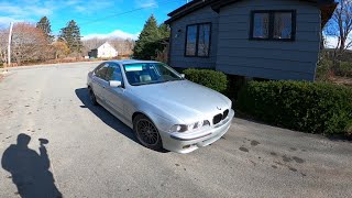 Bmw e39 540i Rear Diff Finally Dies! How Long  did it Last
