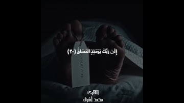 كلا إذا بلغت التراقي | سورة القيامة #قرءان ##صوت