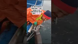 Ang laking pusit nahuli nya #viralnow #trending #trendingshorts #trendingvideo #giantsquid #squid
