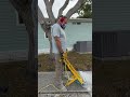 Grinding trip hazards to make sidewalks safe again. 📲 Free estimate (727) 537-6025