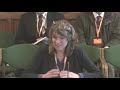 Defence in the Grey Zone - Defence Committee