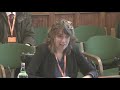 Defence in the Grey Zone - Defence Committee