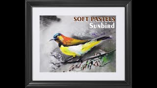 Earn money by easy painting ,HOW TO PAINT BIRD BY SOFT PASTELS,Show case your art easily. screenshot 2