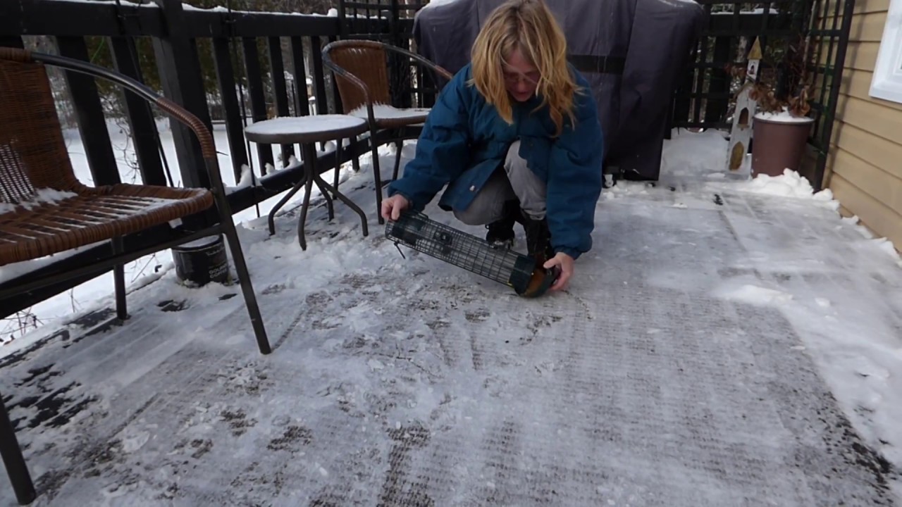 Squirrel-Proof Bird Feeder Fail!