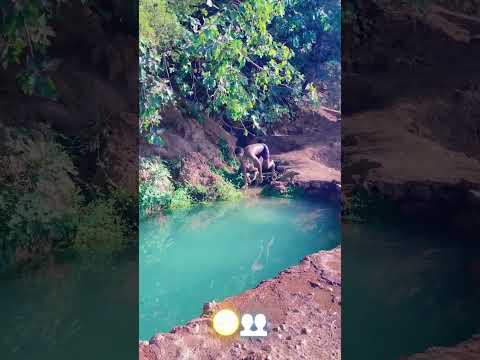 شاهد شباب العرب يبدعون  اكسبلور