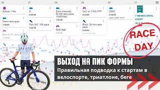 видео: Как последняя неделя перед стартом может испортить всю вашу подготовку и заруинить форму? картинка: Как последняя неделя перед стартом может испортить всю вашу подготовку и заруинить форму?