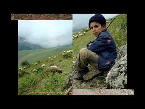 Bir Kuzuda Taş Dibinde Meliyor