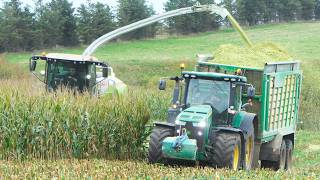 Claas Jaguar 960 Chopping Corn | Maisernte - Mais Silage 2026