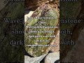 Vancouver Island hides some  the Pacific Northwest’s most photogenic stone #fyp #vancouverisland #BC
