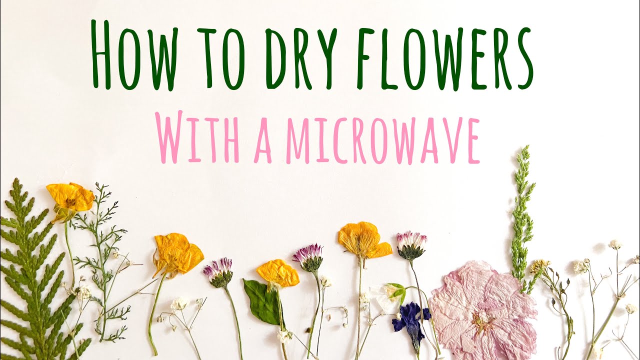 How to Dry and Press Flowers