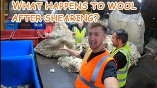 WOOL! - Behind the scenes with the British Wool Marketing Board   |   Part 1 of 2