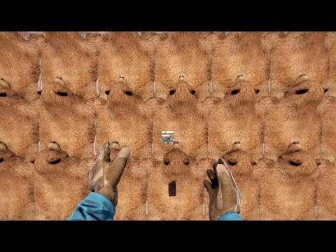 RAIDING A BEAR RUG C4 PROTECTED LOOT ROOM!