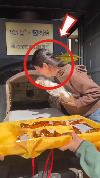 menangis karena kucing kesayangannya mati 🥹 #shorts