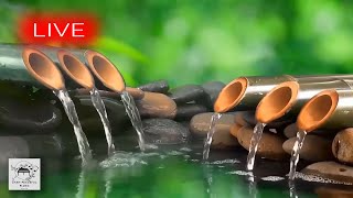 🔴 Relaxation Music 24/7, Thunderstorm, Lightning, Heavy Rain Sounds, Relaxing Music, Nature Sounds