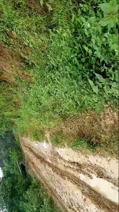 ruga to dronggre rama jalangko Name nirokpabo🙏bilsio jao changpraksan ka,aengajokna 💞