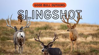 Slingshot - A giant mule deer from Colorado's Rocky Mountain Arsenal