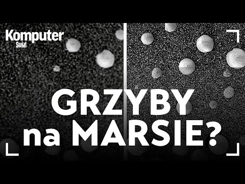 Wideo: Grzyby Rosną Na Marsie, Mówią Naukowcy - Alternatywny Widok