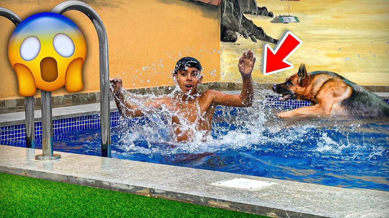 ‎أخي غرق في المسبح أمام أخطر كلب 🐶🐕 شوفوا ردة فعله 💔😭