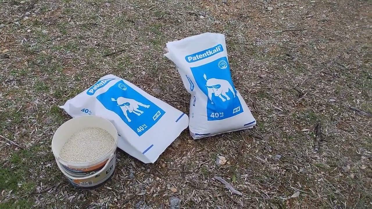 καλλιέργεια ελιάς και πατεντκάλι τον χειμώνα.