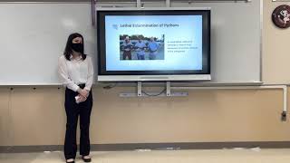 TMP 2021 - Burmese Pythons in Everglades