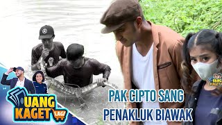 PAK CIPTO SANG PENAKLUK BIAWAK- UANG KAGET LAGI