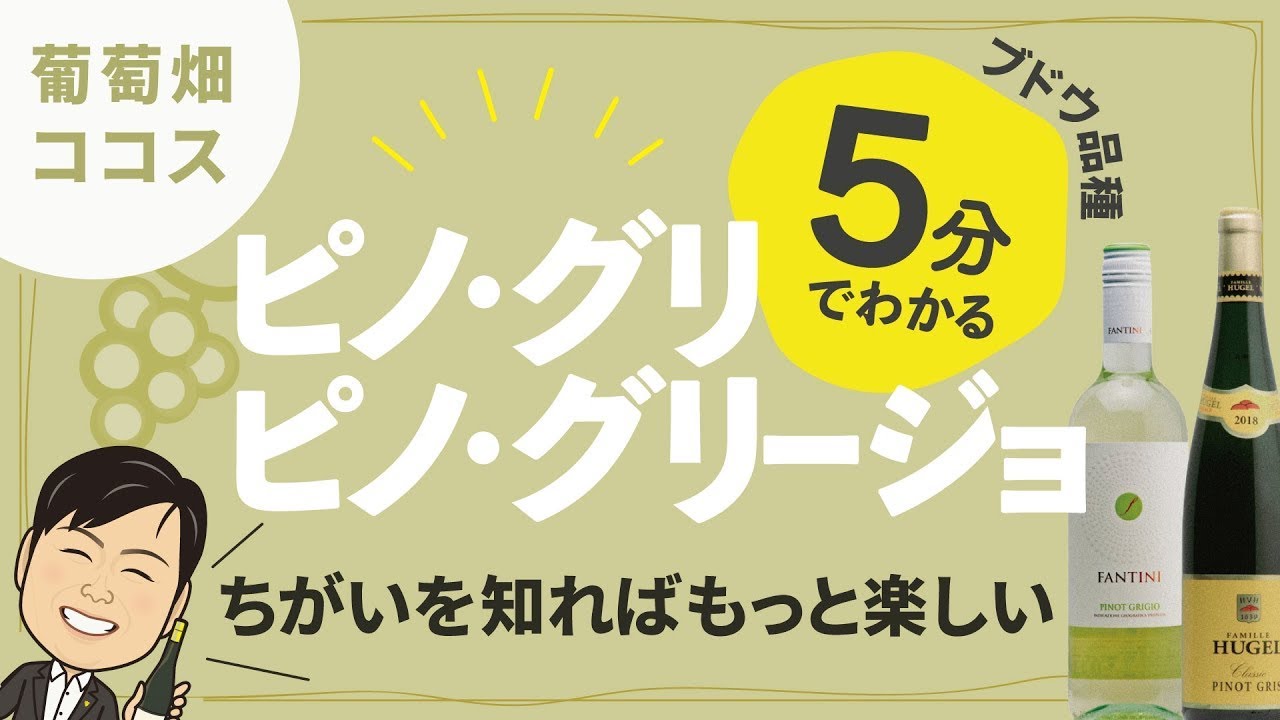 【ワイン初心者】呼び方の違いには意味がある！「ピノ・グリ」と「ピノ・グリージョ」【ブドウ品種基礎知識⑧】