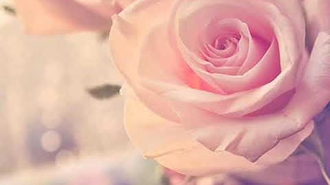 اذكار الصباح بصوت الشيخ ياسر الدوسري ـ