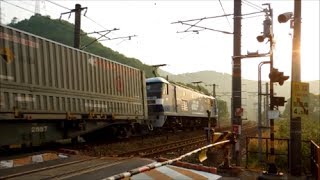 JR貨物 EF210-126号機[岡]+コキ24B　貨物列車5072レ【爆走＆満載編成♪】