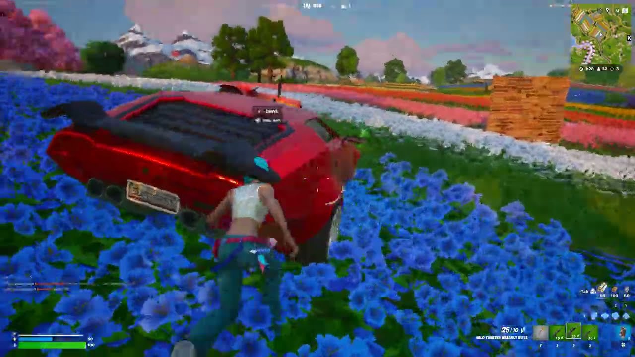 how beautifully she HIDES