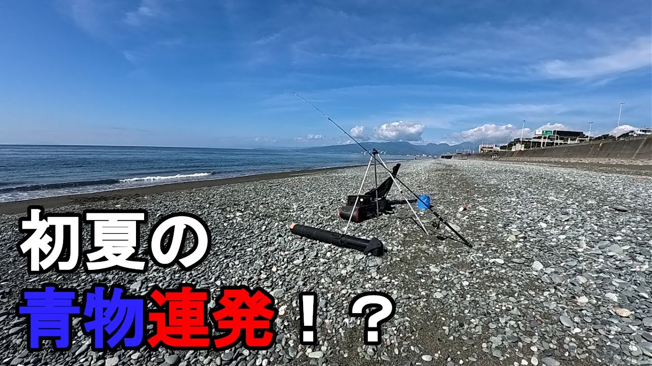【神奈川県某所】初夏の相模湾で青物連発！？梅雨の時期に、関東地方の相模湾に面した砂浜の釣り場で、ジェット天秤にマイクロメタルジグを追加した弓角ルアー釣り仕掛けで釣りしてみたら…！【2025年6月下旬】