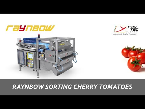How Raynbow optical sorting machine sorts cherry tomatoes | RAYTEC VISION SpA