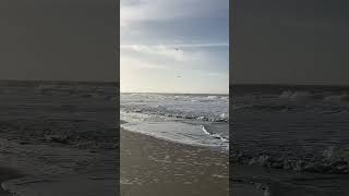 Sylt 🥰 27.01.2024 bei Sonnenschein am Strand + Möwenschwarm an der Nordseeküste